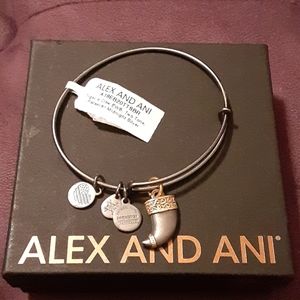 Alex & Ani Bracelet!
